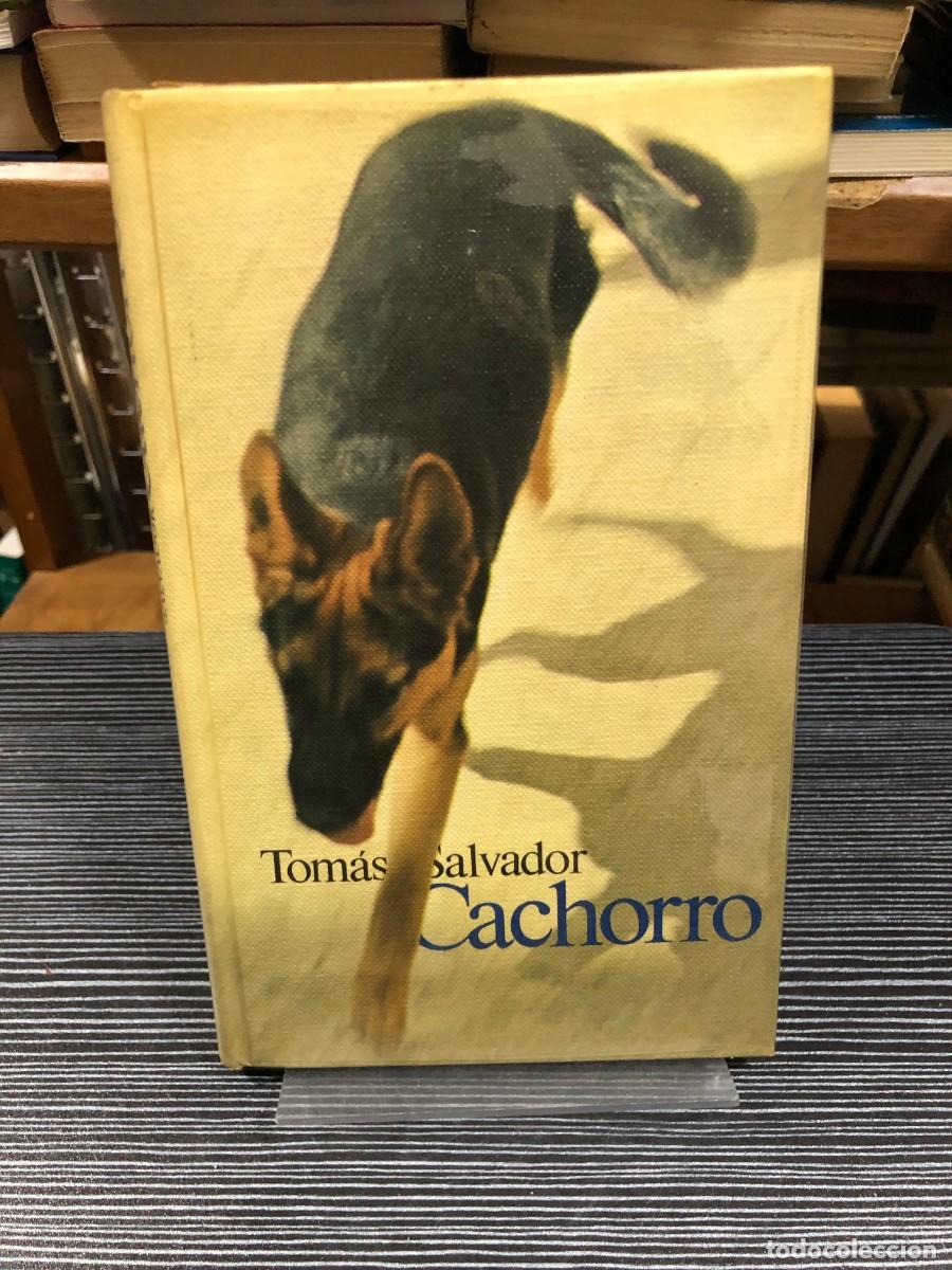 Libros: Cachorro Tom&aacute;s Salvador - Foto 1