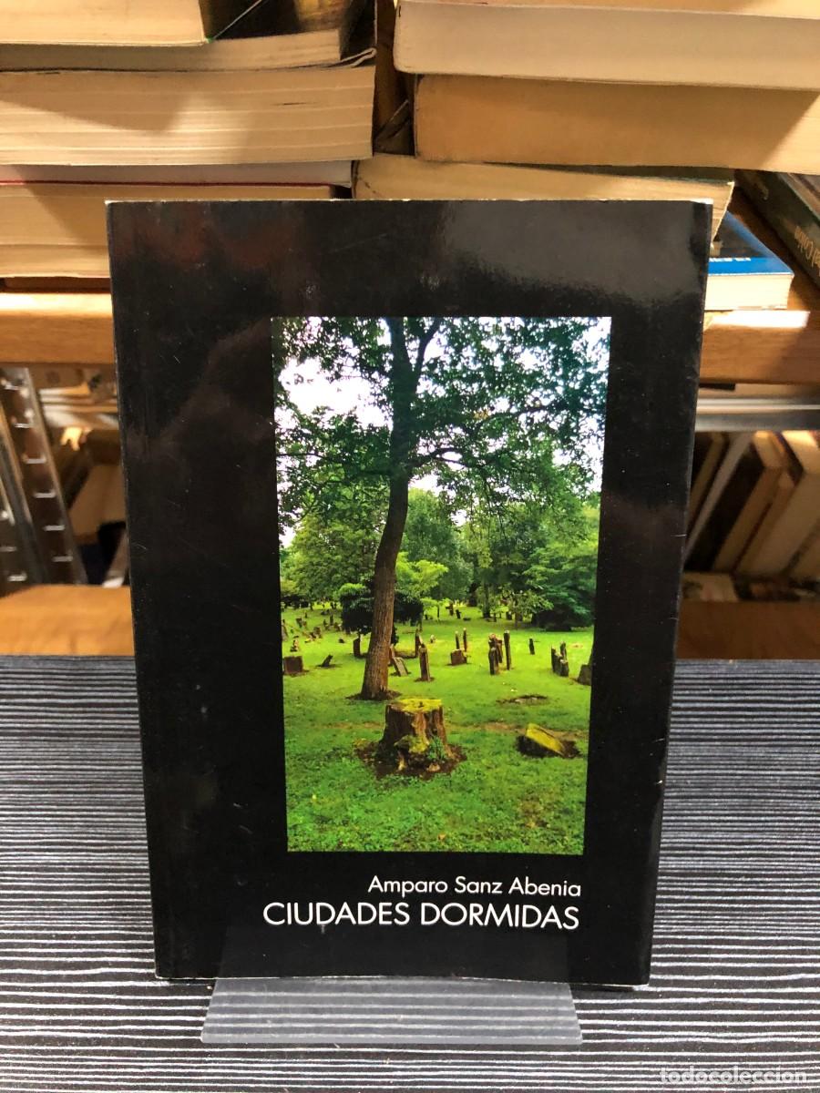 Libros: Ciudades Dormidas Amparo Sanz Abenia