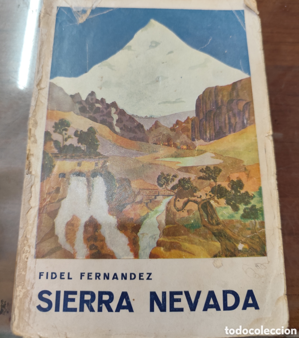 books: SIERRA NEVADA. 1&ordf; Edici&oacute;n. A&ntilde;o 1931. Faltan las 5 &uacute;ltimas hojas de bibiliograf&iacute;a - FERNANDEZ MARTINE