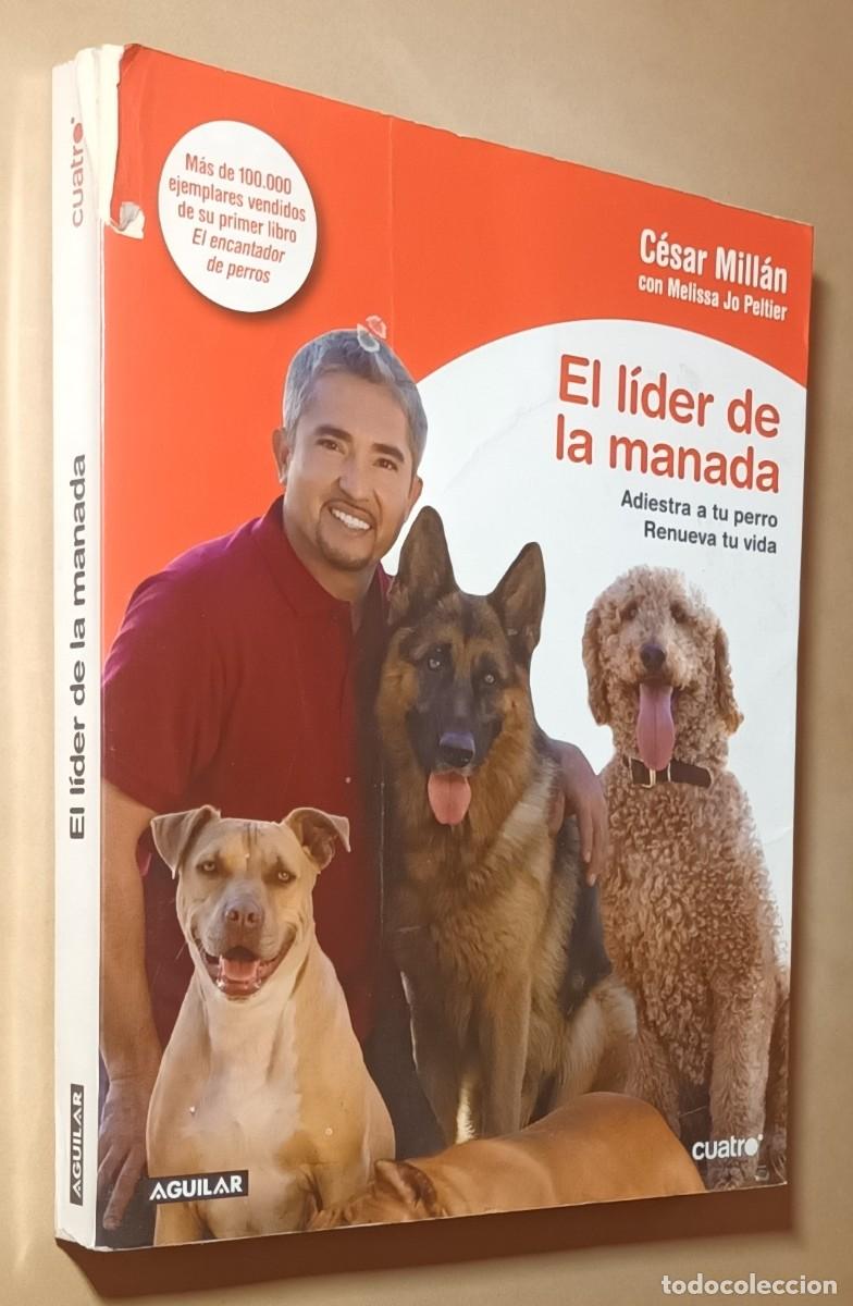 Libros: EL L&Iacute;DER DE LA MANADA, ADIESTRA A TU PERRO - C&Eacute;SAR MILL&Aacute;N - AGUILAR - 2008
