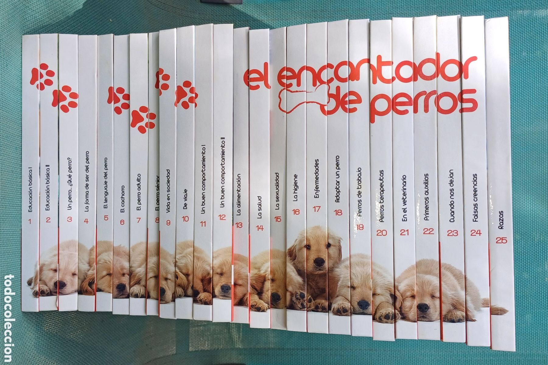Libros: El encantador de perros completa 25 volumenes y DVDs del adiestrador canino C&eacute;sar Mill&aacute;n