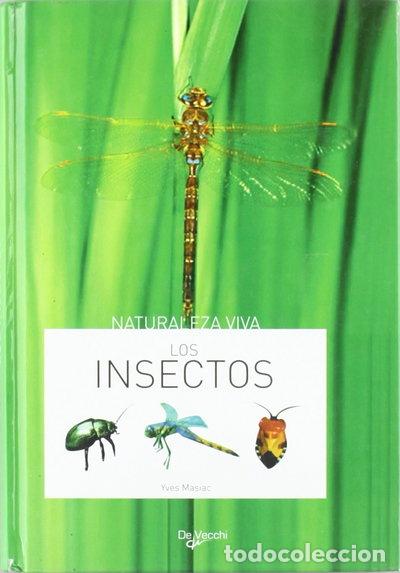 books: Los insectos- 9788431534899