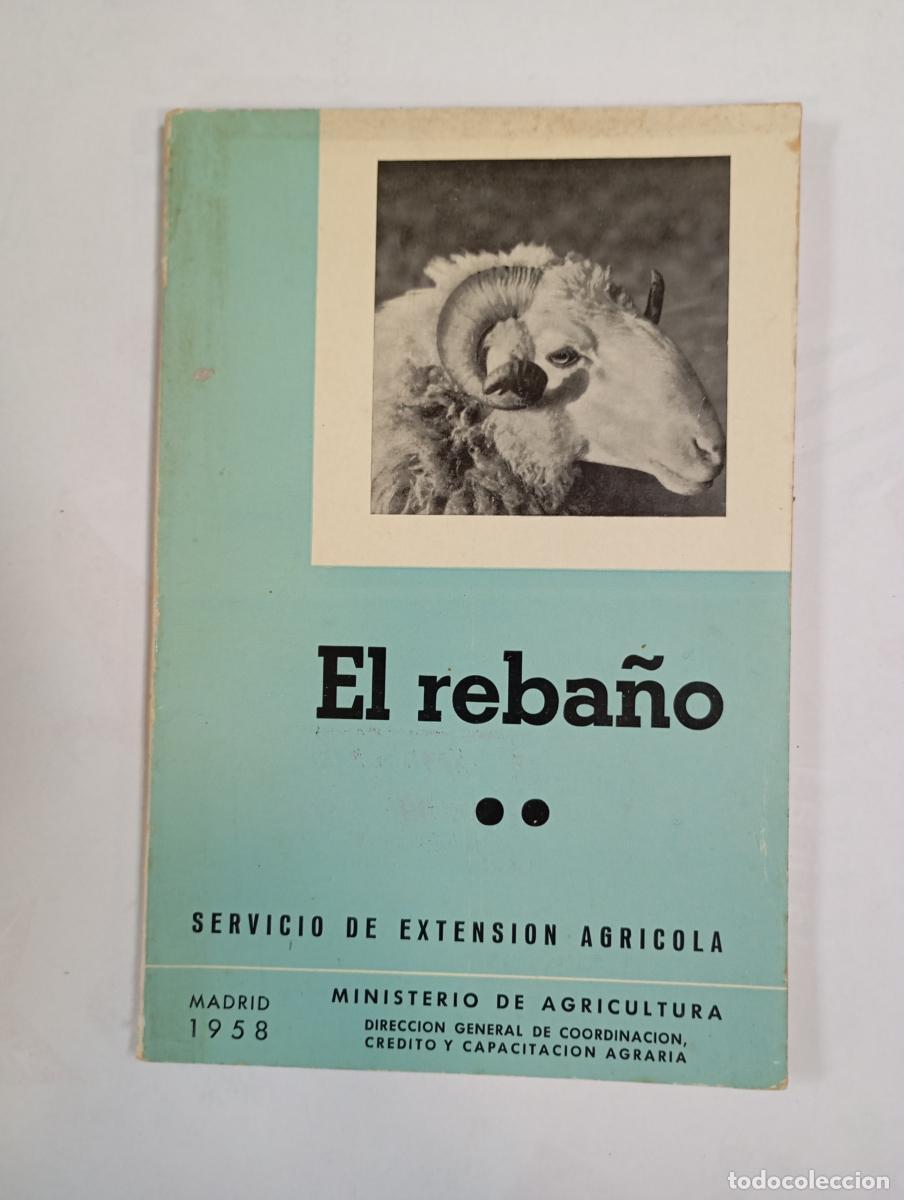 Libri di seconda mano: EL REBA&Ntilde;O II. SERVICIO DE EXTENSI&Oacute;N AGR&Iacute;COLA. - LUIS FERN&Aacute;NDEZ SALCEDO. TDK993