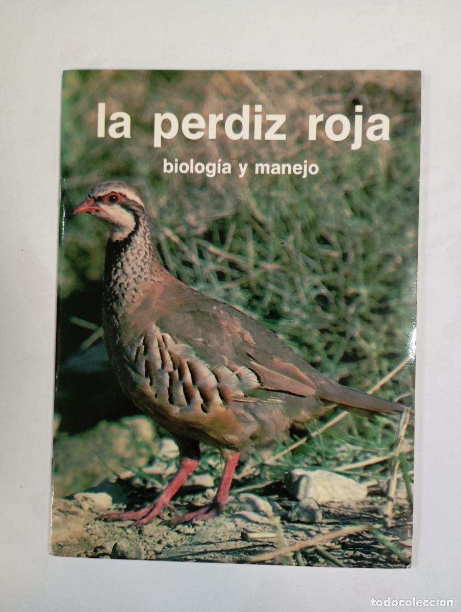 B&uuml;cher: LA PERDIZ ROJA. BIOLOG&Iacute;A Y MANEJO. - JES&Uacute;S NADAL GARC&Iacute;A. TDK993