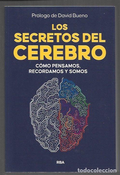 B&uuml;cher: SECRETOS DEL CEREBRO - LOS. COMO PENSAMOS, RECORDAMOS Y SOMOS - VARIOS (PROLOGO DE DAVID BUENO)