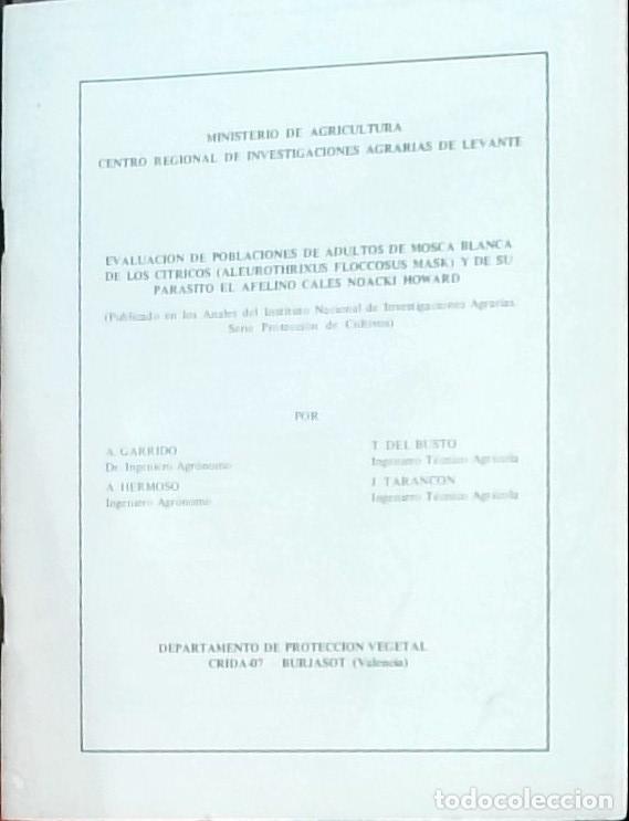 Libri di seconda mano: Evaluaci&oacute;n de poblaciones de adultos de mosca blanca de los c&iacute;tricos Aleurothrixus floccosus Mask. y
