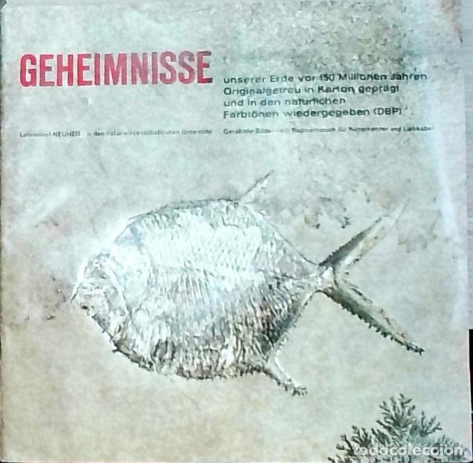 Libros: Geheimnisse unserer Erde vor 150 Millionen Jahren. Originalhetreu in Karton gepragt und in den natur