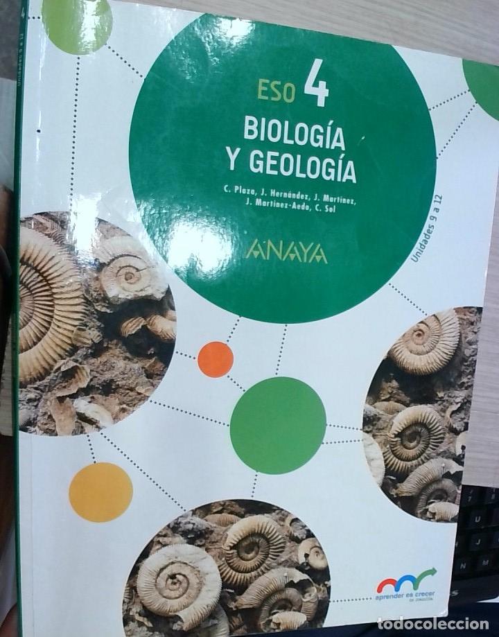 Libros: Biolog&iacute;a y Geolog&iacute;a 4 ESO. Unidades 9 a 12 - Concepci&oacute;n Plaza Escribano y otros: