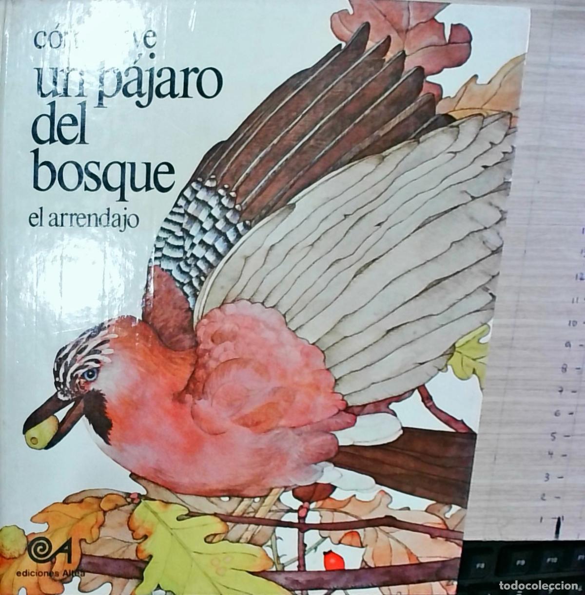 Livros em segunda m&atilde;o: C&oacute;mo vive un p&aacute;jaro del bosque: el arrendajo - Philippine Heering y Fetze Pijlman: