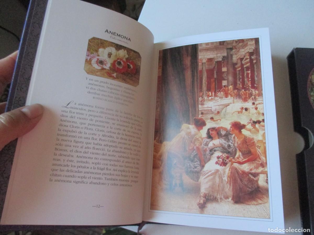 Libros: SHEILA PICKLES El lenguaje de las flores W40392 - Foto 3