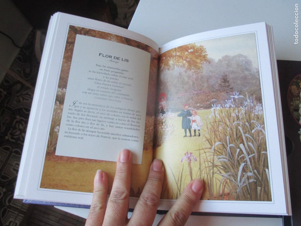 Libros: SHEILA PICKLES El lenguaje de las flores W40392 - Foto 4