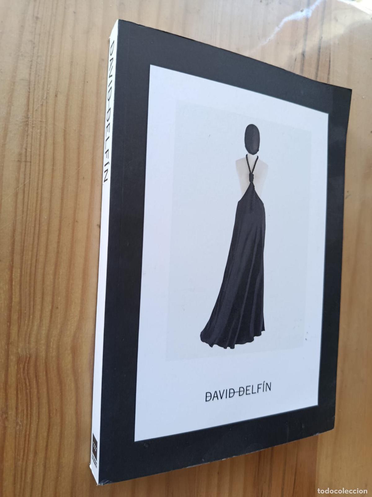 B&uuml;cher: David Delf&iacute;n - RAUL MARINA DE DIEGO y Fernando Castro Fl&oacute;rez