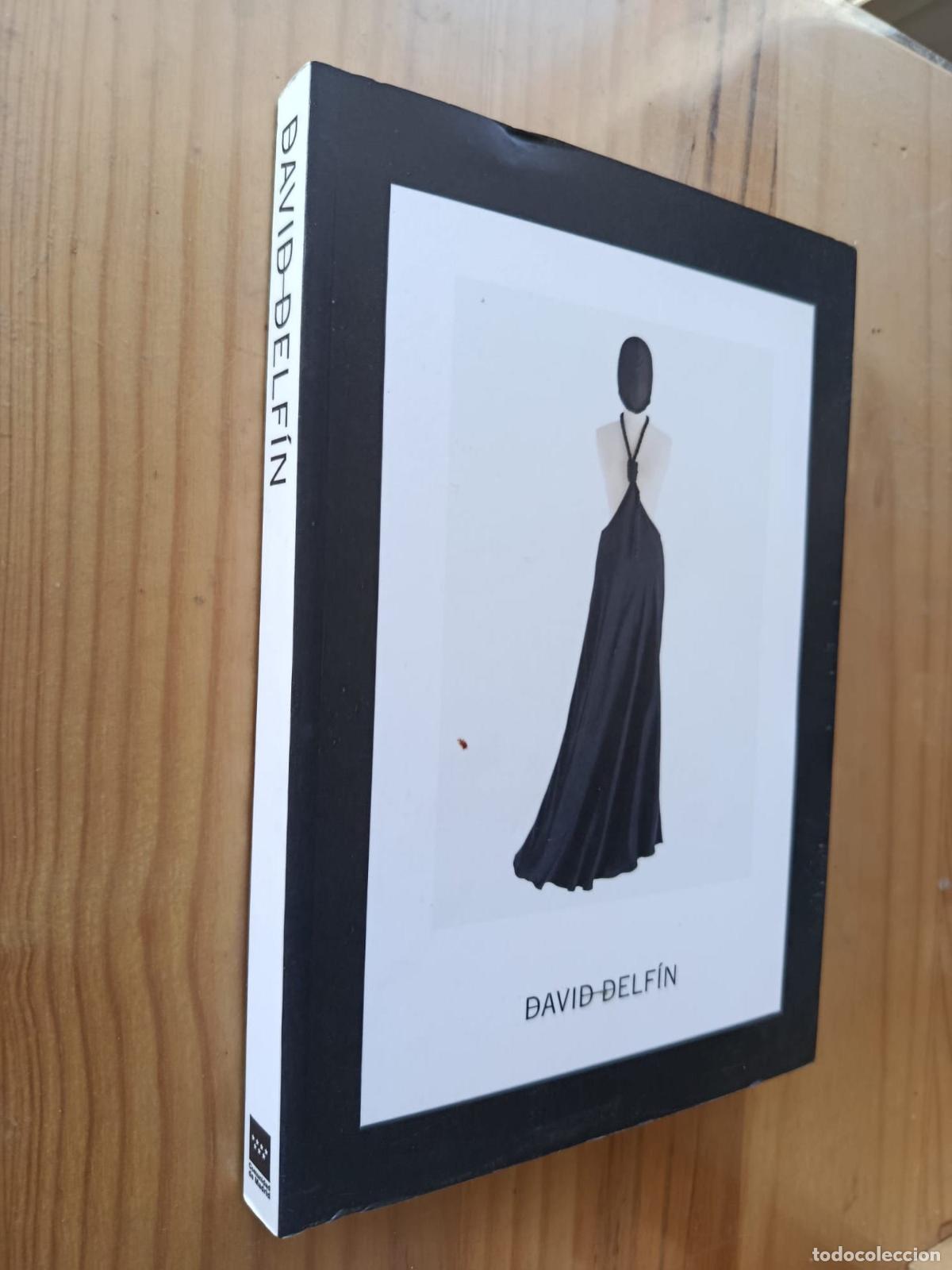 Libros: David Delf&iacute;n - RAUL MARINA DE DIEGO y Fernando Castro Fl&oacute;rez