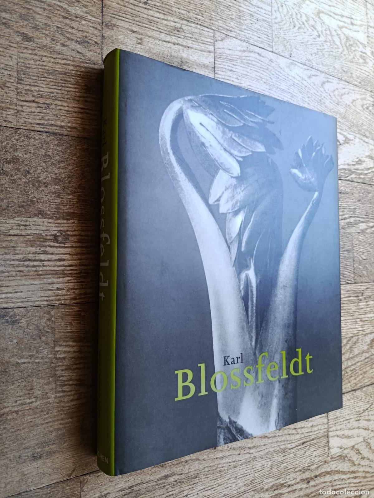 Livros em segunda m&atilde;o: KARL BLOSSFELDT (1865-1932) - VVAA