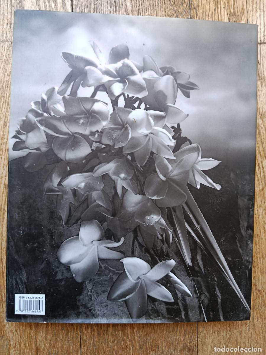 Libros: EDWARD WESTON (1886-1958) - Foto 2