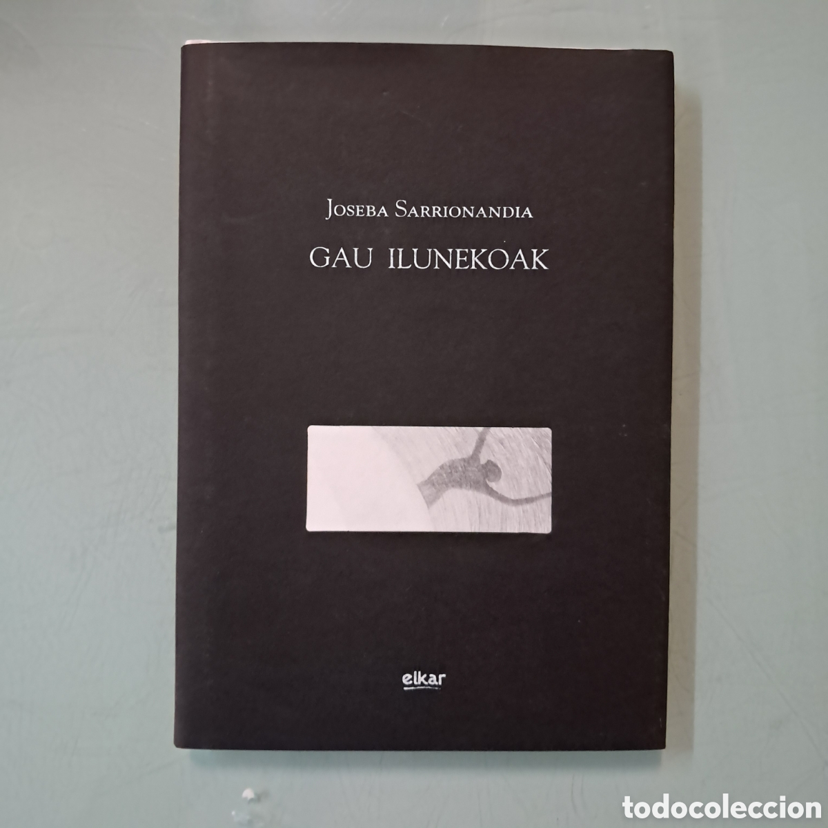 Libros: Jiseba Sarrionaindia, Gay ilunekoak, Elkar