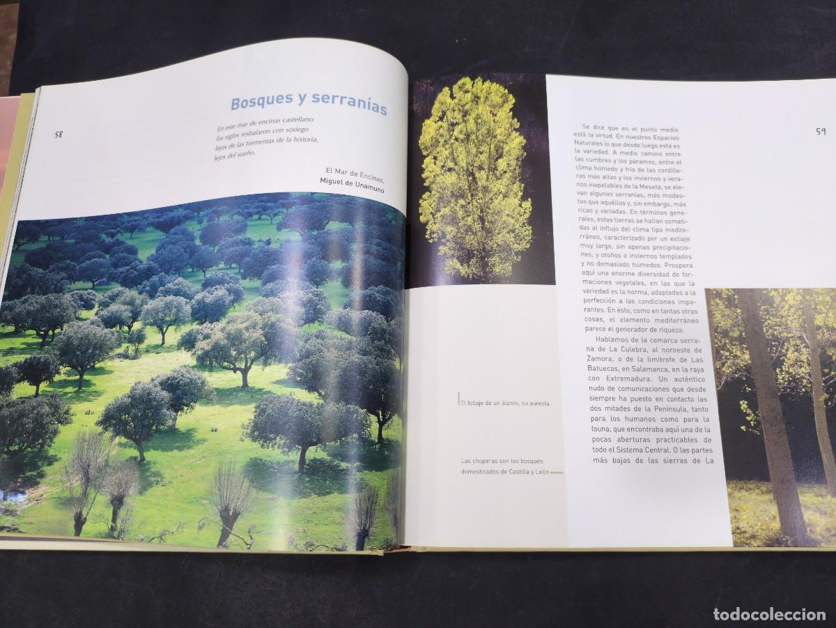 Libros: ESPACIO PARA IMAGINAR. ESPACIOS NATURALES DE CASTILLA Y LE&Oacute;N. JUNTA DE CASTILLA Y LE&Oacute;N, 2002. - Foto 2