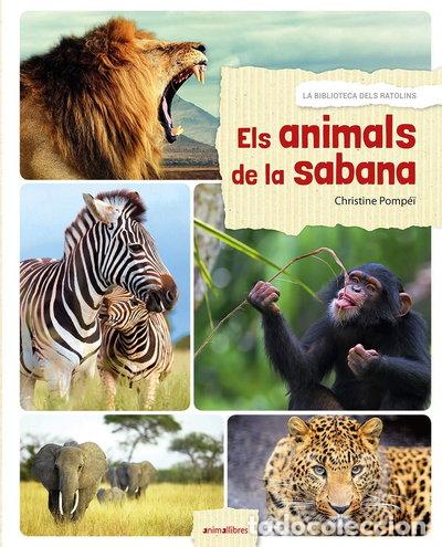 Libros: Els animals de la sabana- 9788416844524