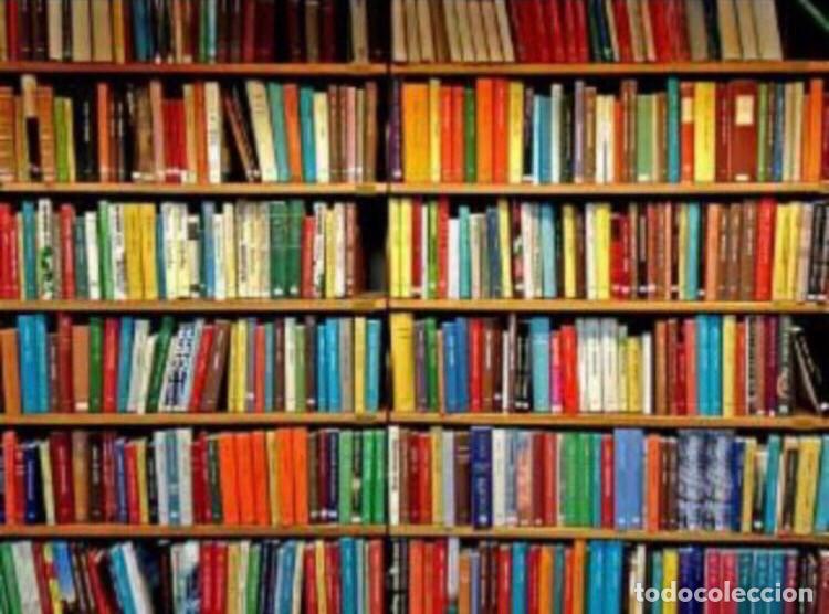 books: LOTE DE 95 LIBROS (SOLO ENVIO DENTRO DE LA PENINSULA)