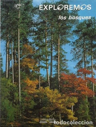 Libros: Exploremos los bosques- 9788426319623