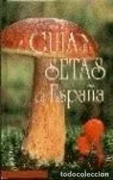 Libros: Gu&iacute;a de setas de Espa&ntilde;a- 9788434504769