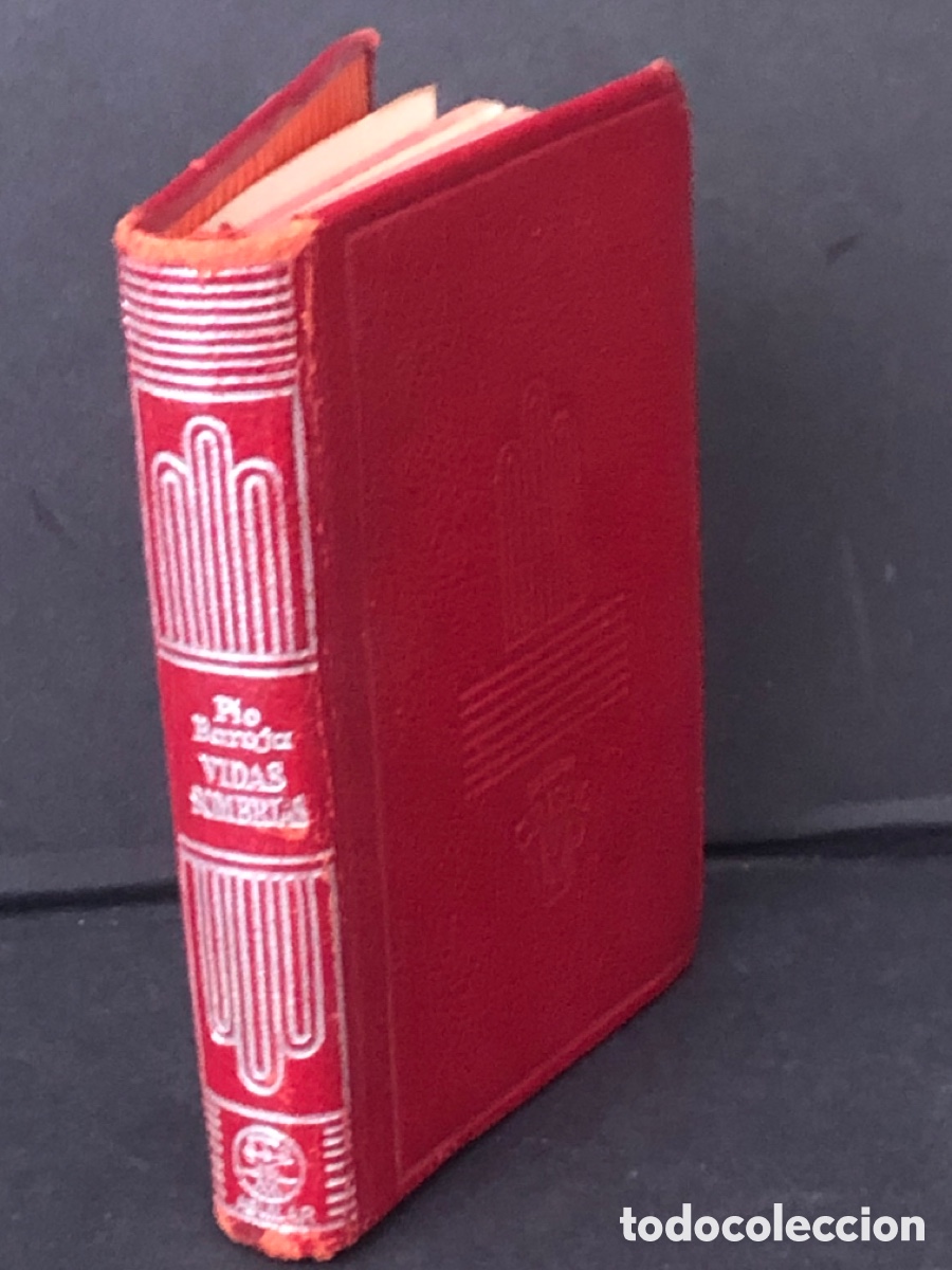 Livres: Crisol 13 vidas sombr&iacute;as