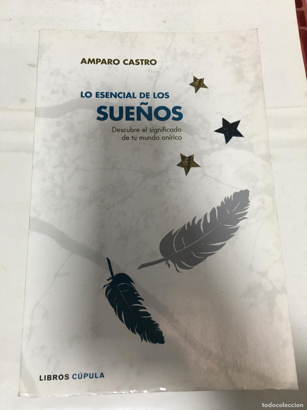 Libros: LO ESENCIAL DE LOS SUE&Ntilde;OS - AMPARO CASTRO - Foto 1