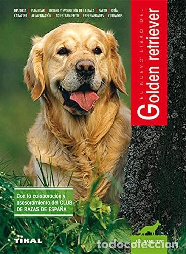 Libros: Golden retriever - Hamilton, J. J. - Foto 1