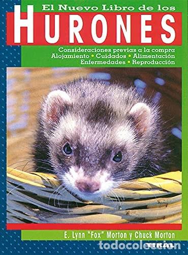 Libros: Hurones - Morton, E. Lynn;Morton, Chuck - Foto 1