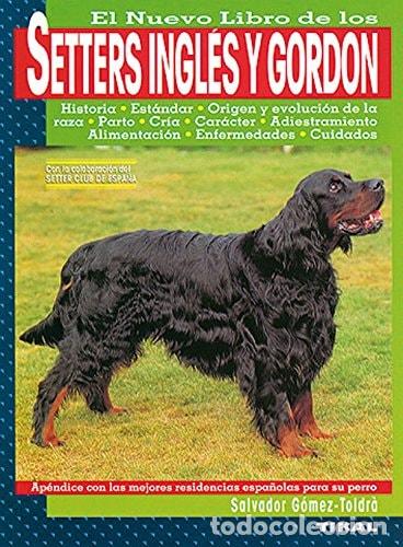 Libros: Setters ingl&eacute;s y gordon - G&oacute;mez-Toldr&agrave;, Salvador - Foto 1