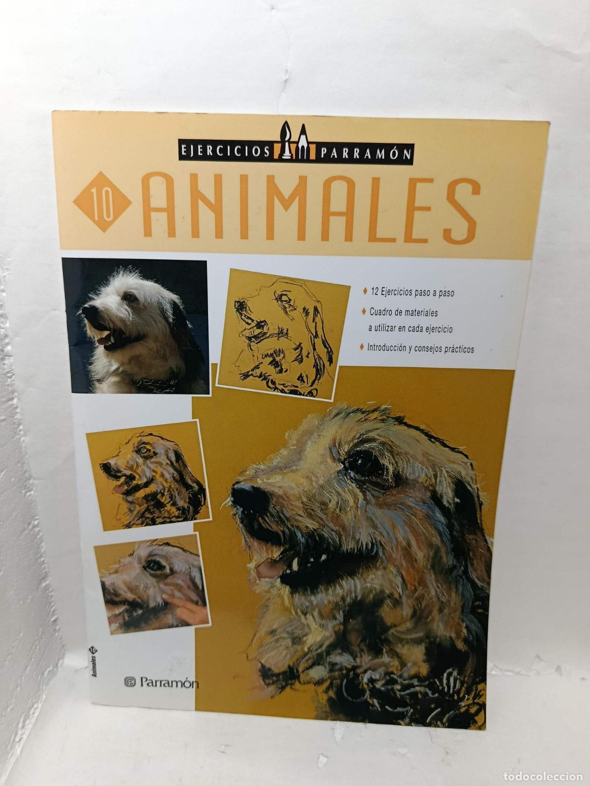Livres: EJERCICIOS PARRAM&Oacute;N ANIMALES - Ram&oacute;n de Jes&uacute;s Rodr&iacute;guez