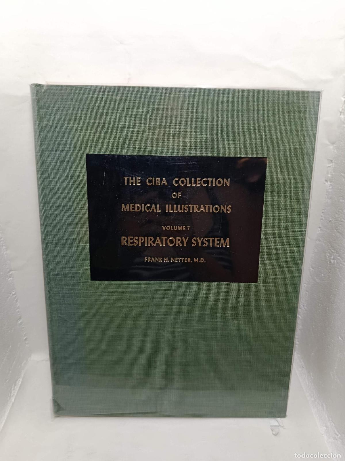 Libros: THE CIBA COLLECTION OF MEDICAL ILLUSTRATIONS. Volume 7. Respiratory System. - Netter, Frank H; Dive