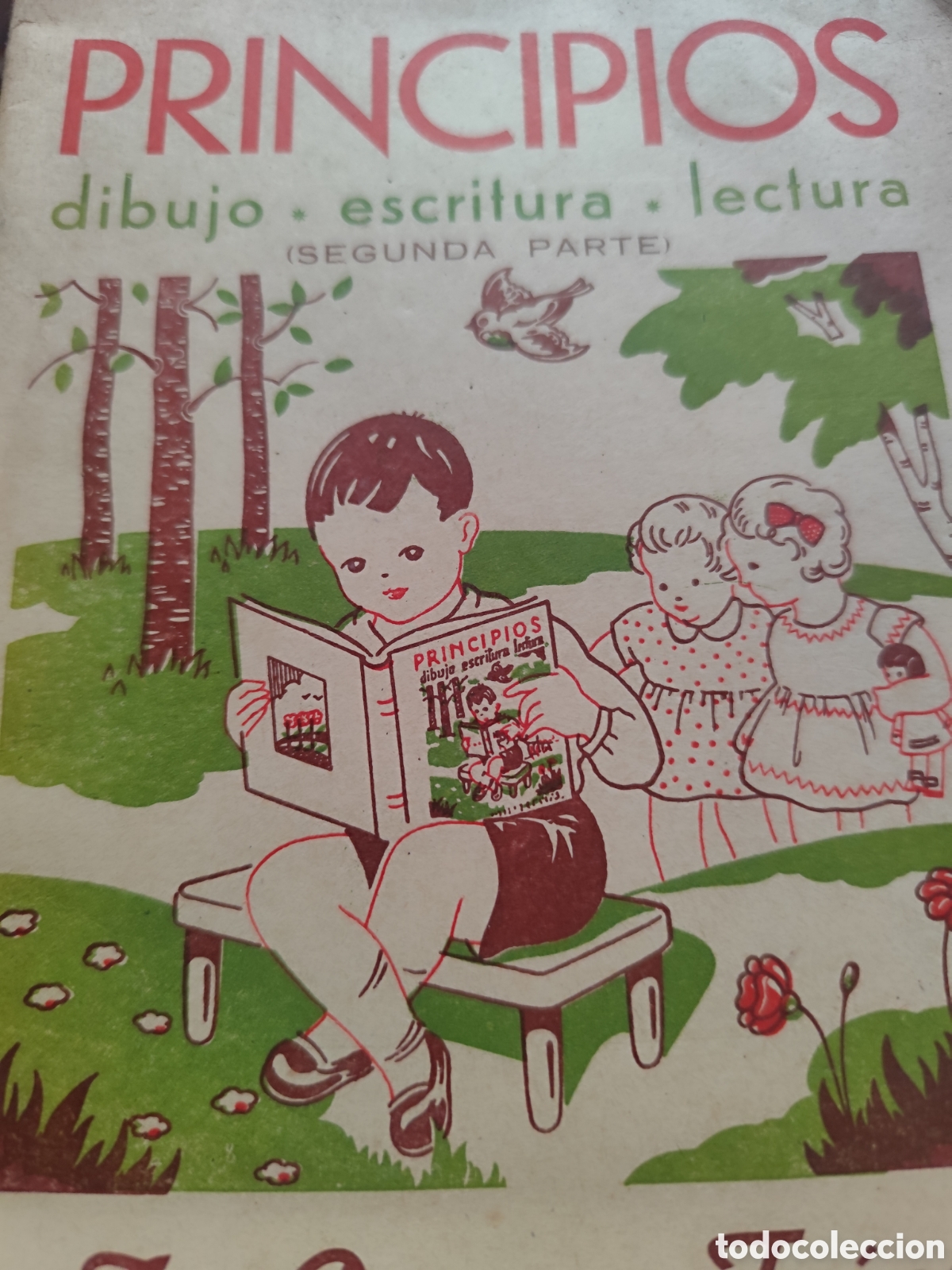 Libros: Principios,dibujo,escritura y lectura RF 457