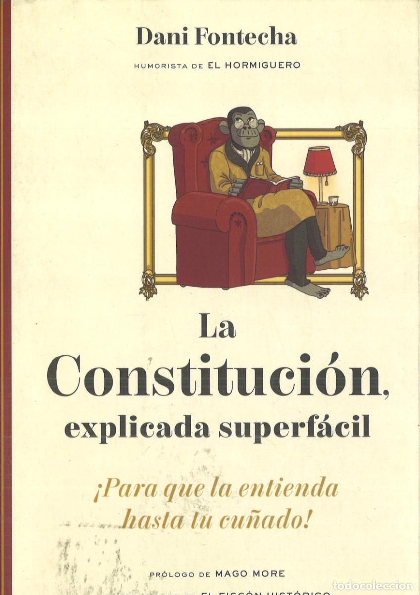 Libros: LA CONSTITUCION EXPLICADA SUPERFACIL. Dani Fontecha - Foto 1