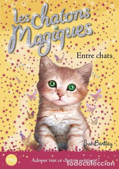 Livros em segunda m&atilde;o: Entre chats- 9782266172158