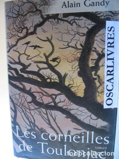 Livres: Les corneilles de Toulonjac- 9782744144998