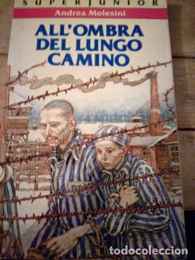 Livres: All'ombra del lungo camino- 9788804334897