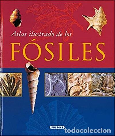 Libros: Atlas ilustrado de los f&oacute;siles- 9788430548712