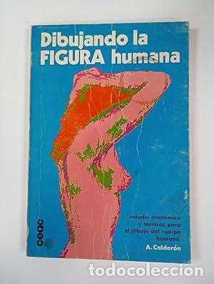 Libros: Dibujando la figura humana - Alfonso Calder&oacute;n. TDK246