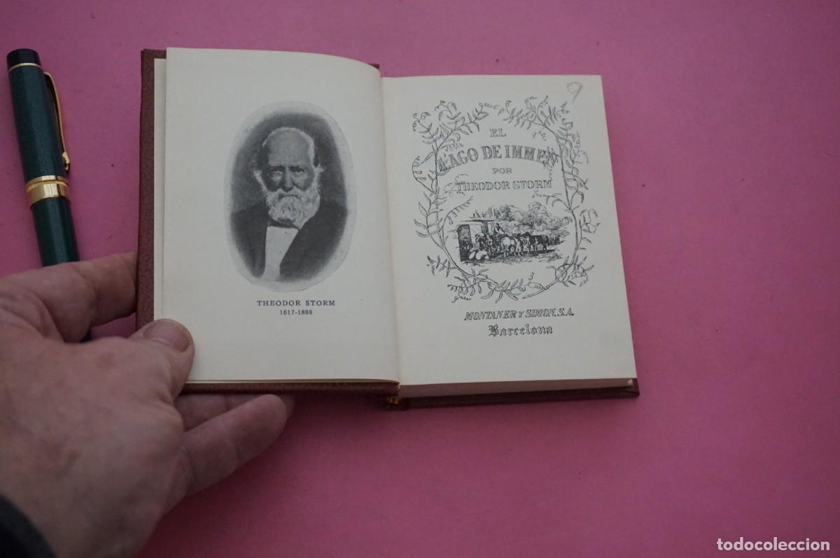 Libros: AMF-17B/ EL LAGO DE IMMEN - THEODOR STORM / MONTANER Y SIMON S.A.