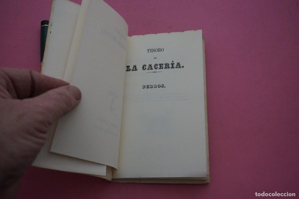 Libros: AMF-17E/ TESORO DE LOS PERROS DE CAZA / EDICIONES ALMARABU & JOSE ESTEBAN EDITOR - Foto 3
