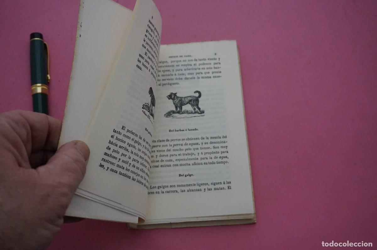 Libros: AMF-17E/ TESORO DE LOS PERROS DE CAZA / EDICIONES ALMARABU & JOSE ESTEBAN EDITOR - Foto 5
