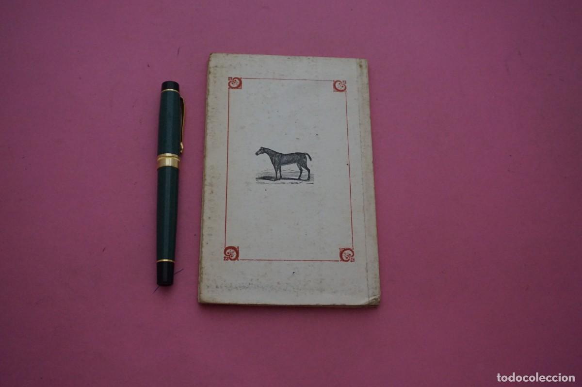 Libros: AMF-17E/ TESORO DE LOS PERROS DE CAZA / EDICIONES ALMARABU & JOSE ESTEBAN EDITOR - Foto 6