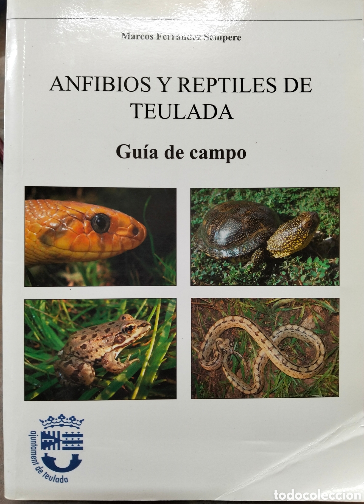 Libros: ANFIBIOS Y REPTILES DE TEULADA. Guia de Campo. A&ntilde;o 2008 - FERNANDEZ SEMPERE, MARCOS