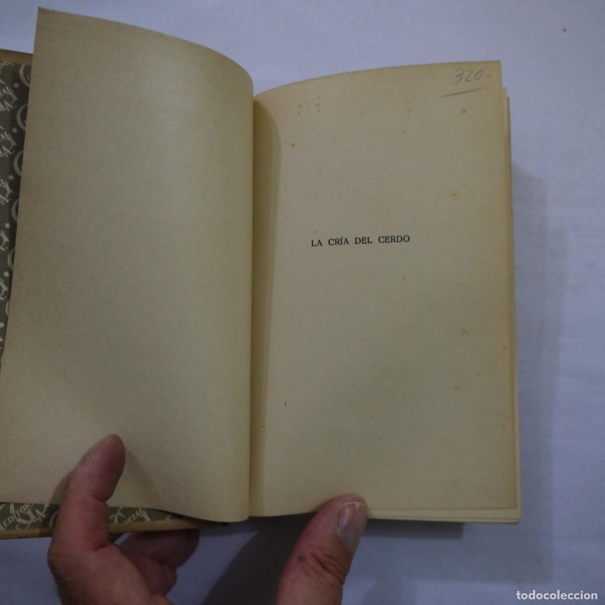 Libros: LA CRIA DEL CERDO - E. MARCHI Y C. PUCHI - GUSTAVO GILI - 1942 - Foto 3