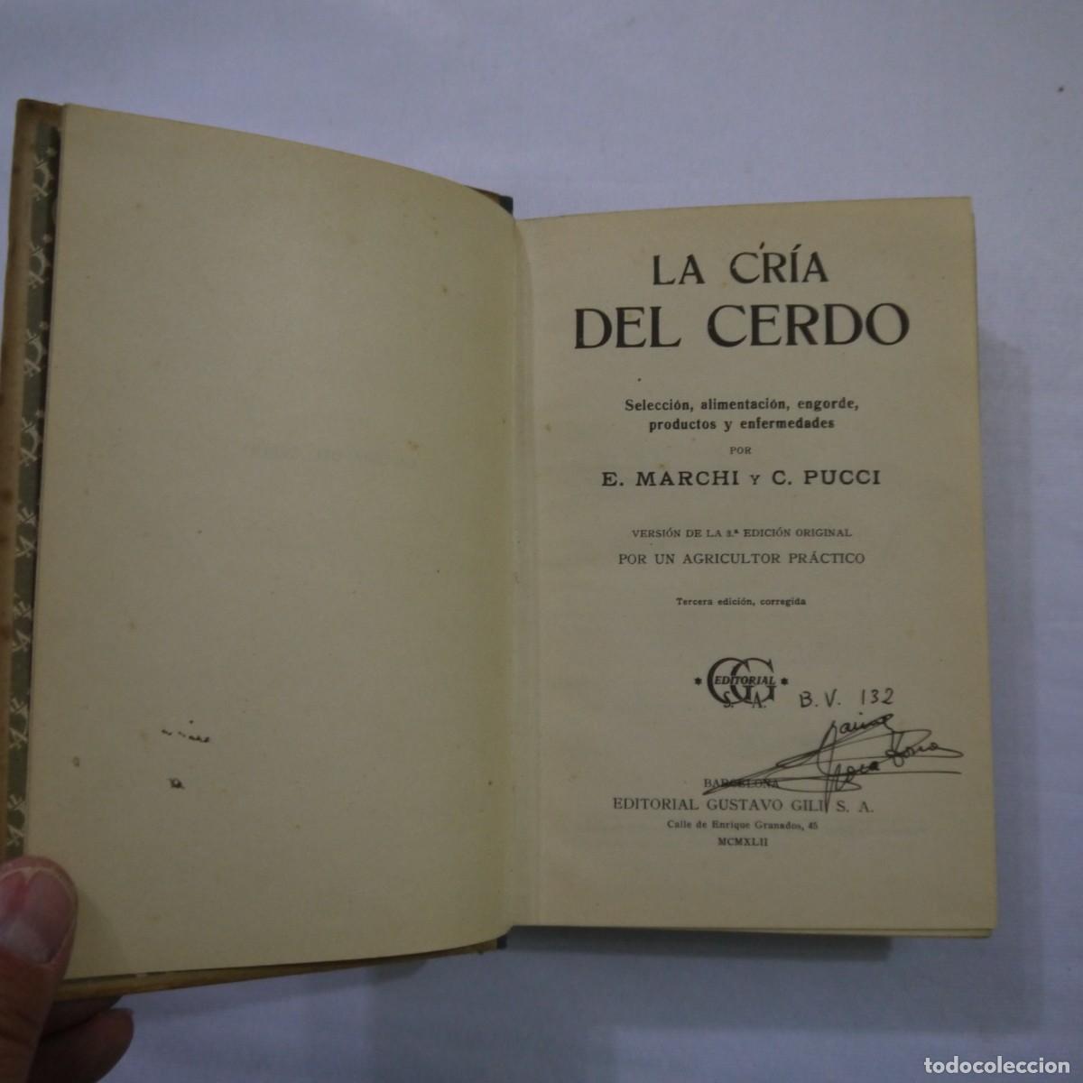Libros: LA CRIA DEL CERDO - E. MARCHI Y C. PUCHI - GUSTAVO GILI - 1942 - Foto 4