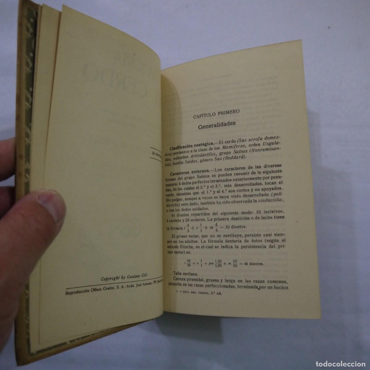 Libros: LA CRIA DEL CERDO - E. MARCHI Y C. PUCHI - GUSTAVO GILI - 1942 - Foto 5