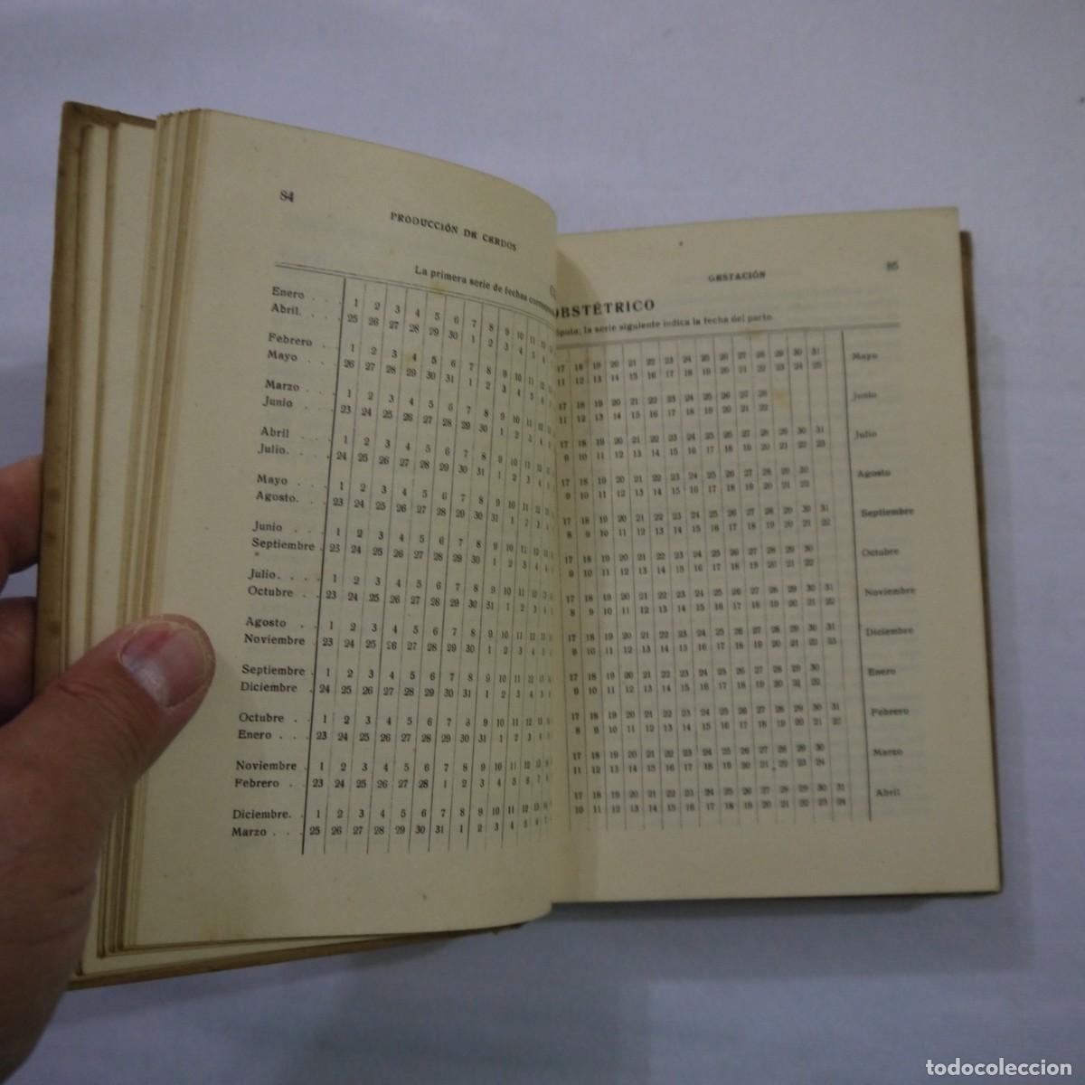 Libros: LA CRIA DEL CERDO - E. MARCHI Y C. PUCHI - GUSTAVO GILI - 1942 - Foto 9