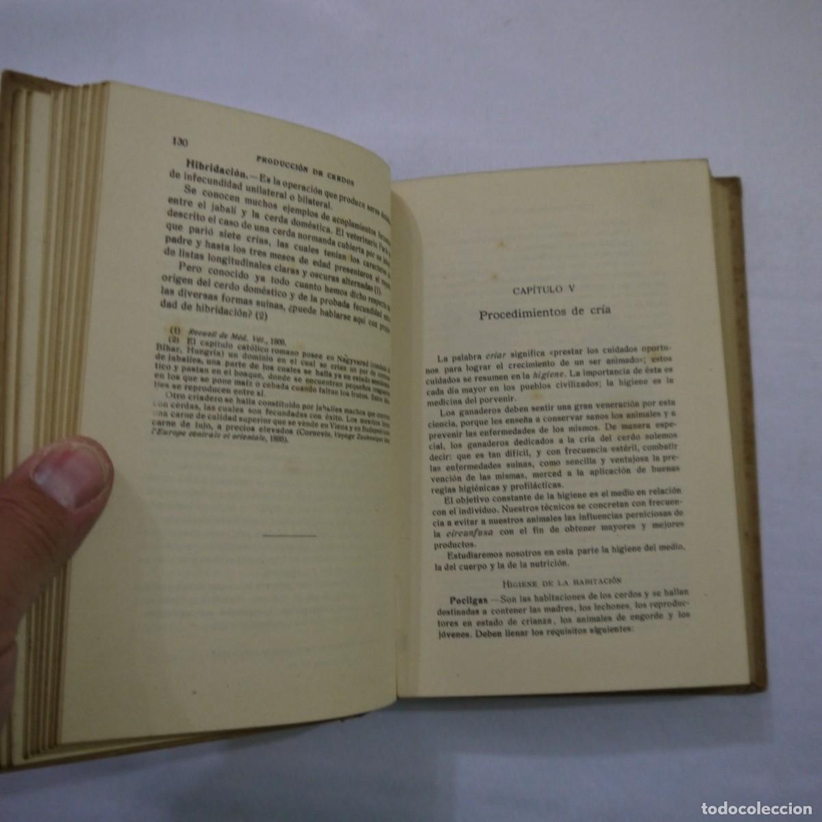 Libros: LA CRIA DEL CERDO - E. MARCHI Y C. PUCHI - GUSTAVO GILI - 1942 - Foto 10