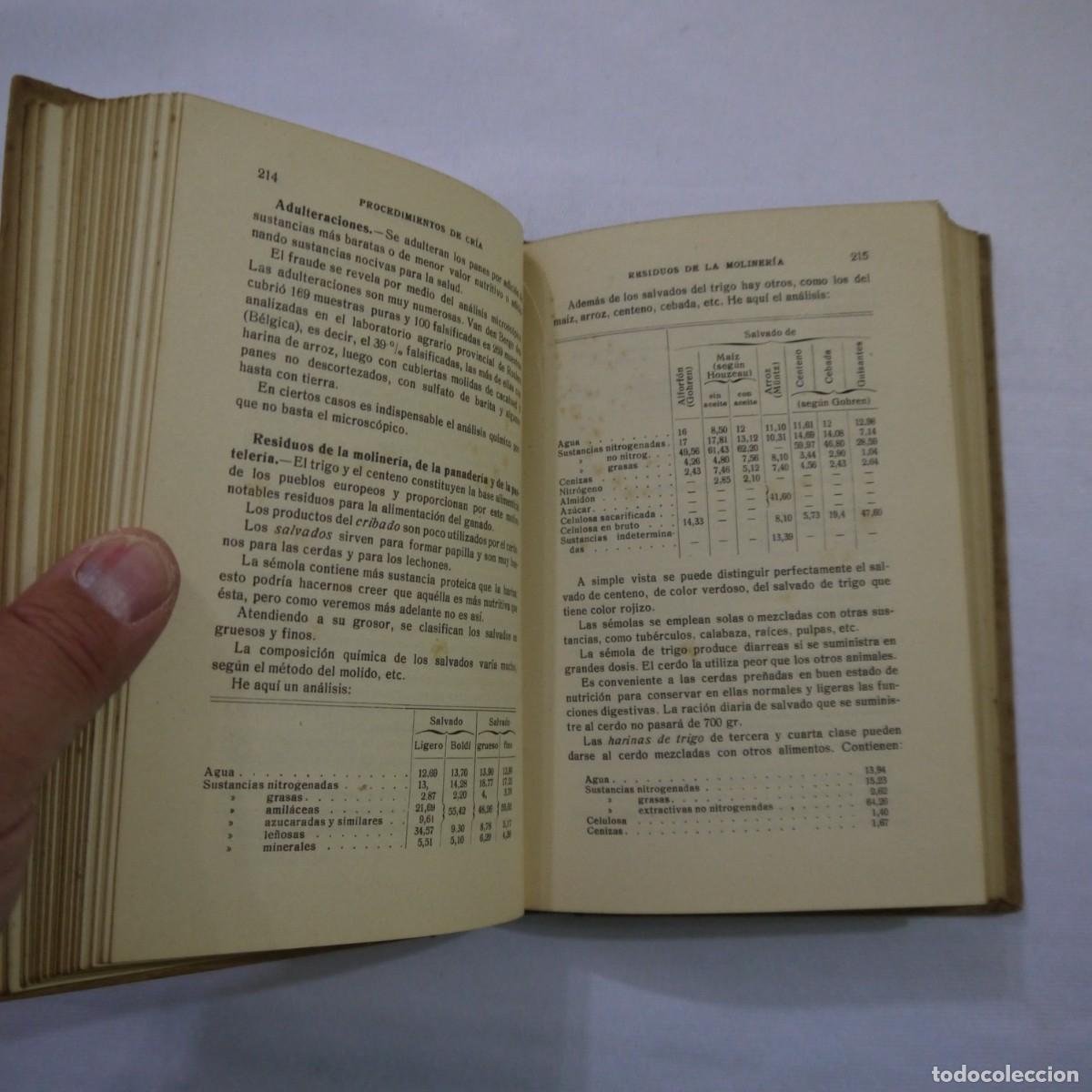 Libros: LA CRIA DEL CERDO - E. MARCHI Y C. PUCHI - GUSTAVO GILI - 1942 - Foto 11